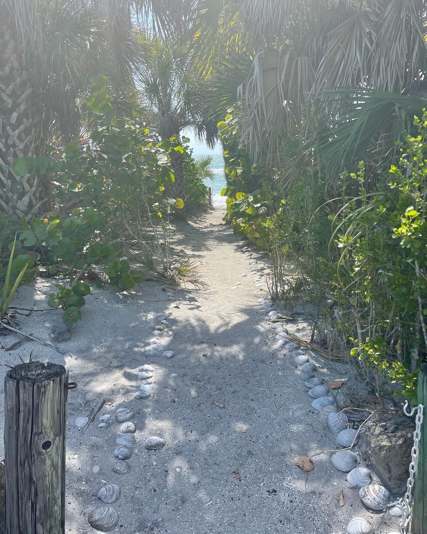 beach path