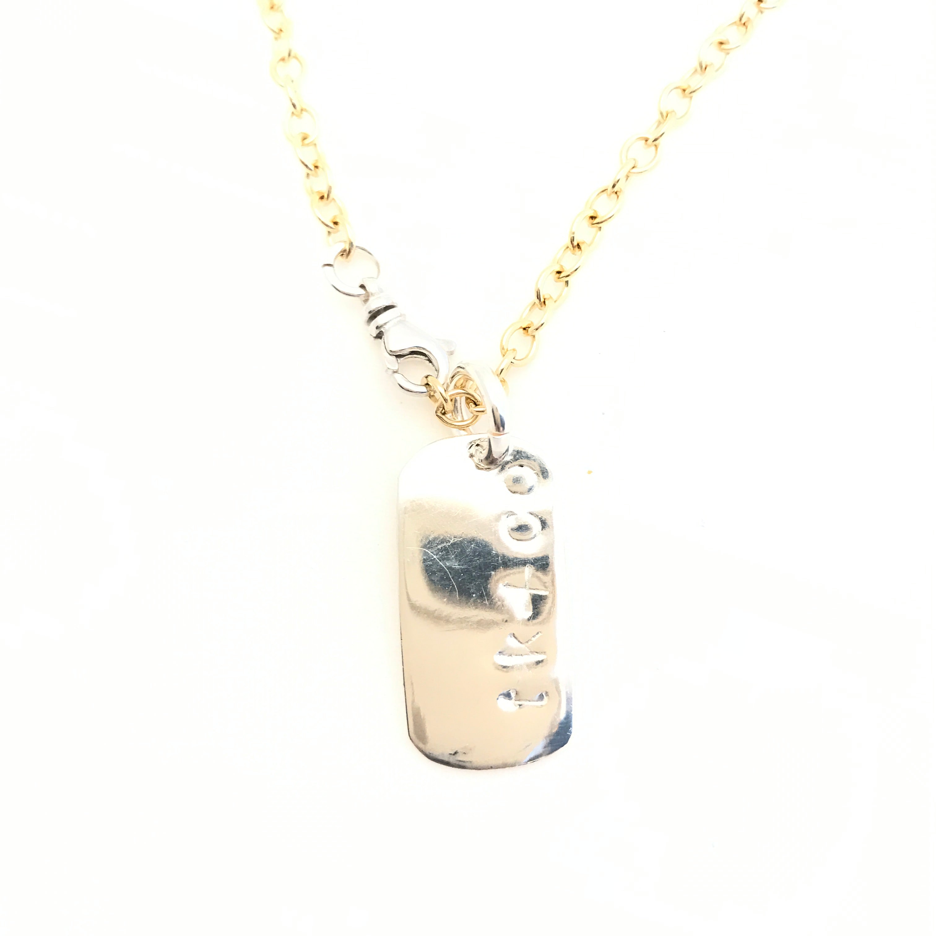 little silver dog tag