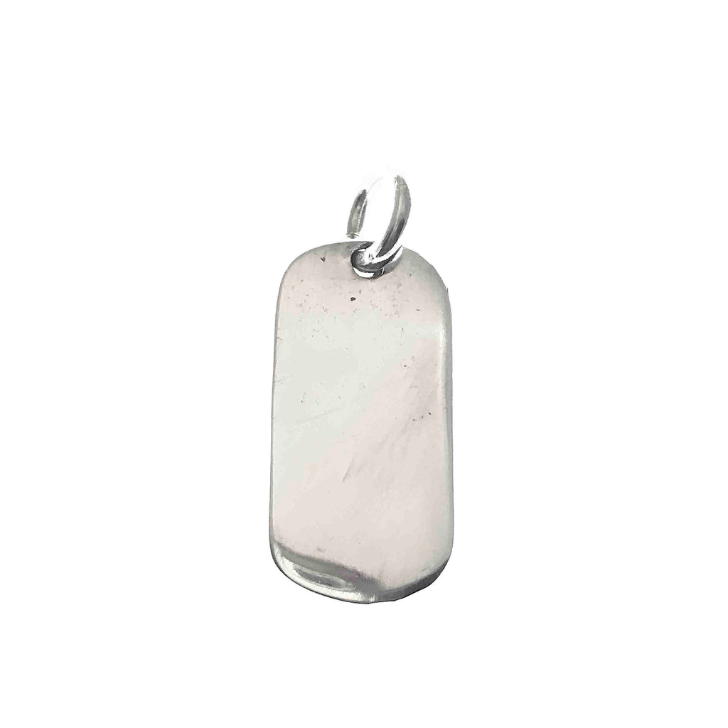 little silver dog tag